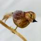 Preview: Emila_Weihnachtkugel_Vogel Braun_Naturfeder_2